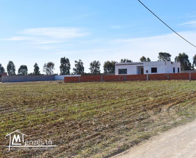 عرض ما يتفلتش