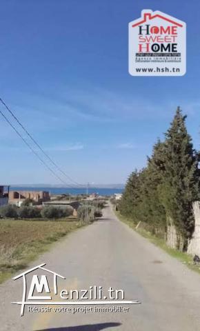 Terrain Barbade à vendre à Bizerte