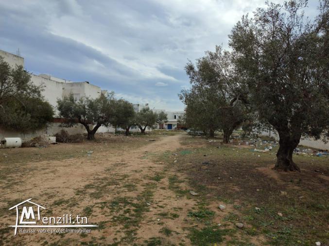 Terrain bâtissable sur la route principale à  Hammamet Yasmine