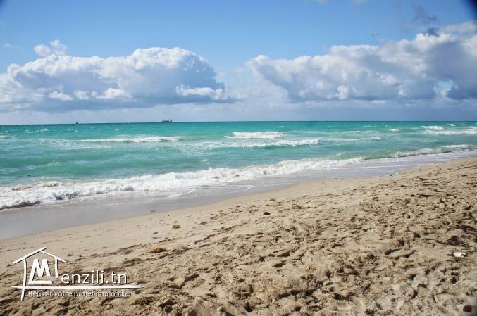 Terrain à vendre au bord de la plage à bouficha à km 71