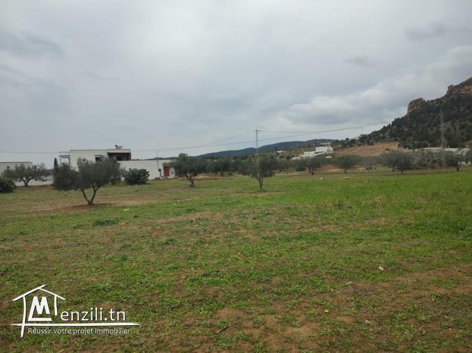 Terrain bâtissable avec vue imprenable sur colline El Monchar