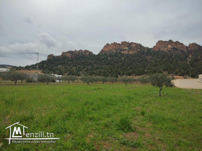 Terrain bâtissable avec vue imprenable sur colline El Monchar
