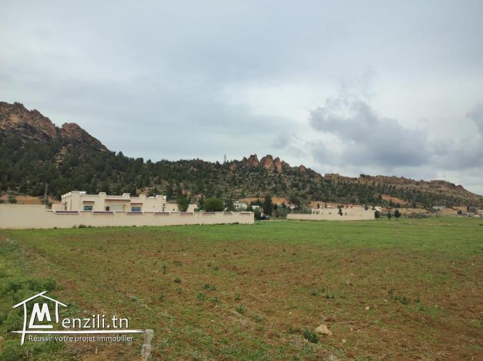 Terrain bâtissable avec vue imprenable sur colline El Monchar