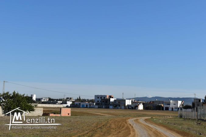 تلوج في أرض و حرت باش تختار????????????