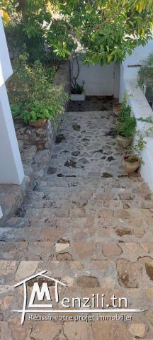 Villa DINKY Hammamet :