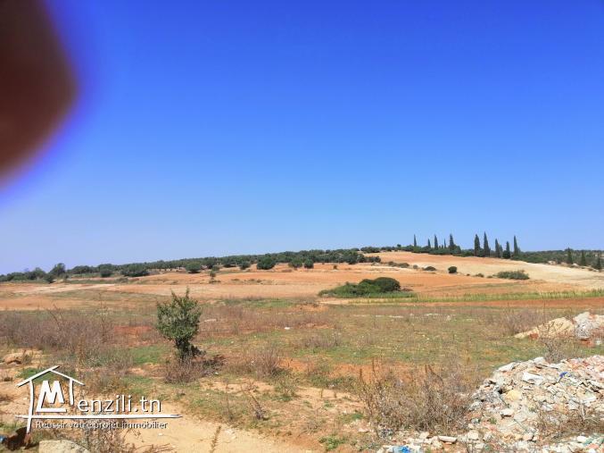 A Vendre un terrain au Jardins El Menzah 2