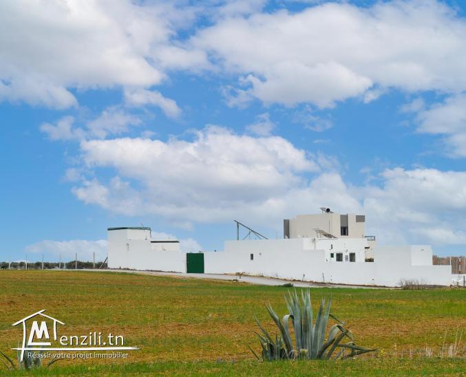 terrain a vender a 5 klm de jinen hammamet