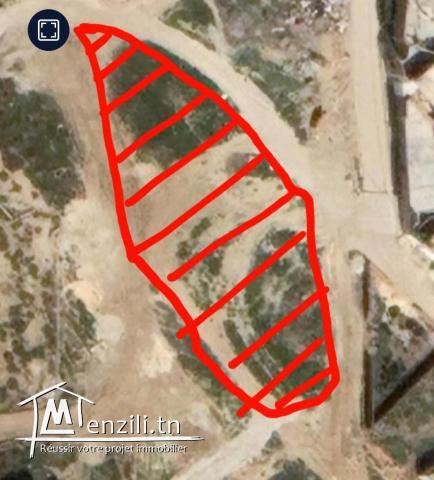 vend terrain à Roued