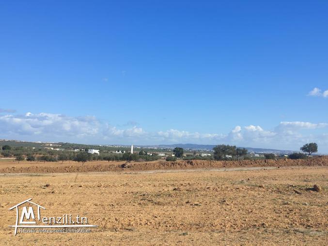 Terrain constructible à bas prix à Hammamet sud