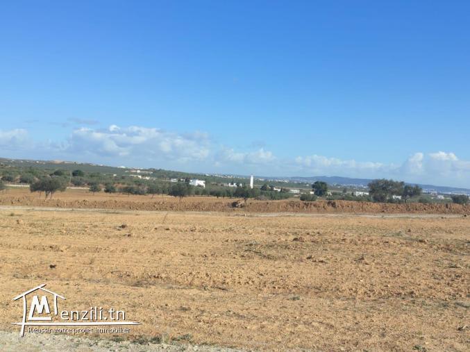 Terrain constructible à bas prix à Hammamet sud