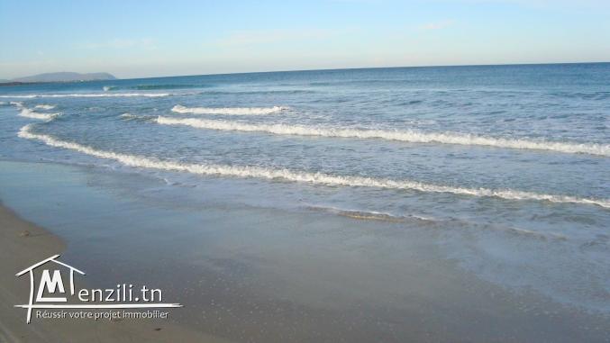 sol fascinant à Kélibia