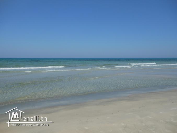 sol fascinant à Kélibia