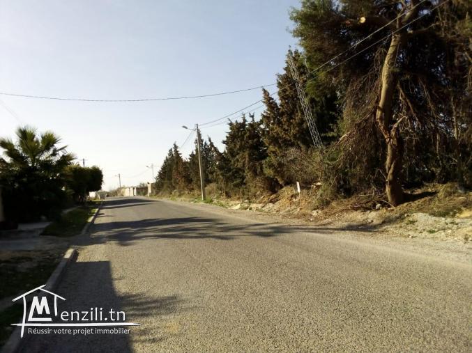 Terrain à vendre Chatt Mariem