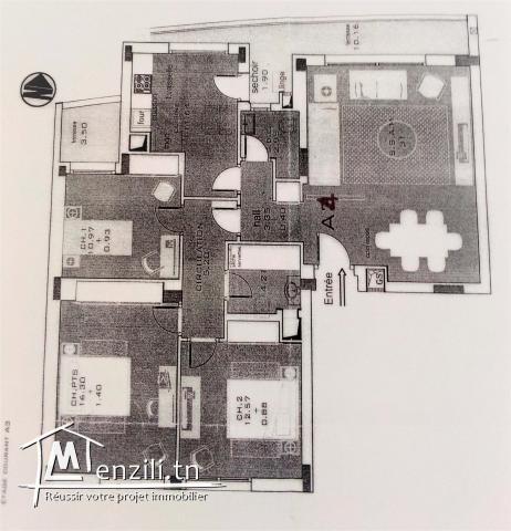 S+3 Ain Zaghouan nord