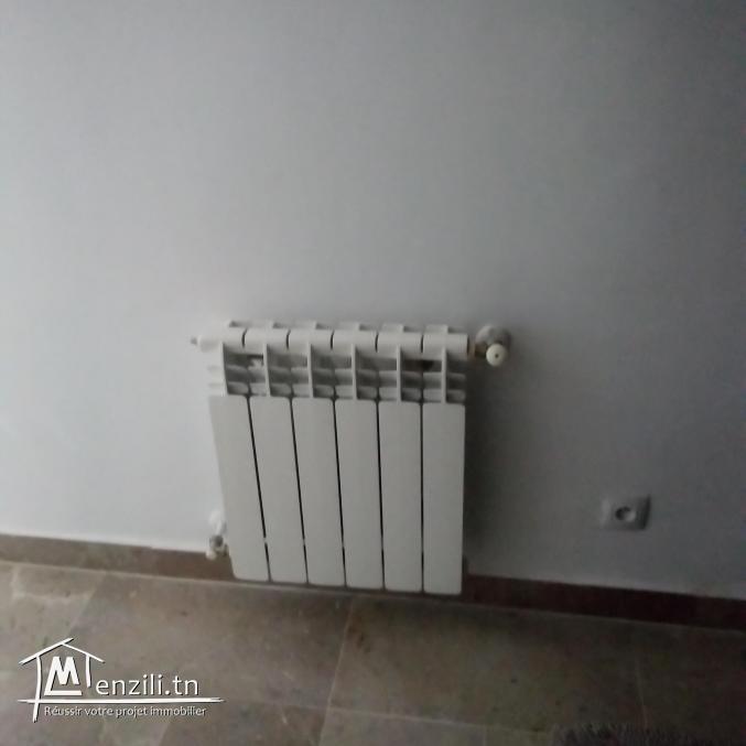 S+3 Ain Zaghouan nord