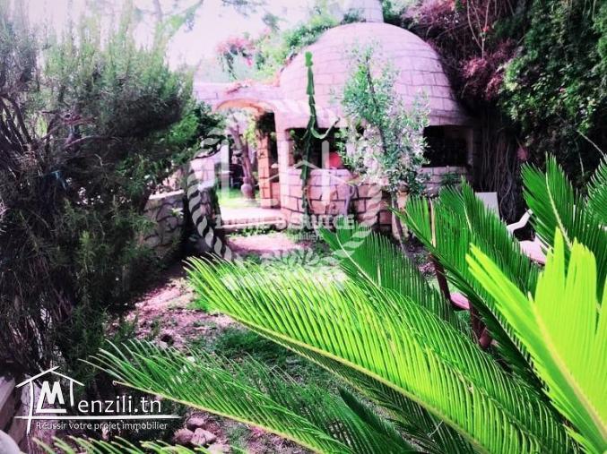   une merveilleuse villa s+4 Hammamet nord