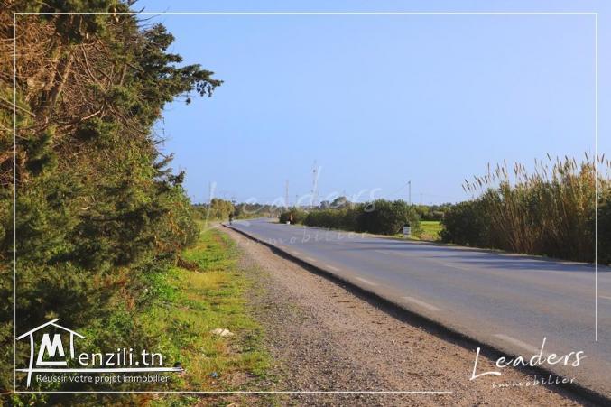 des terrain a vendre 27246321