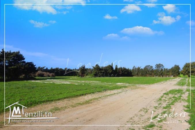 des terrain a vendre 27246321