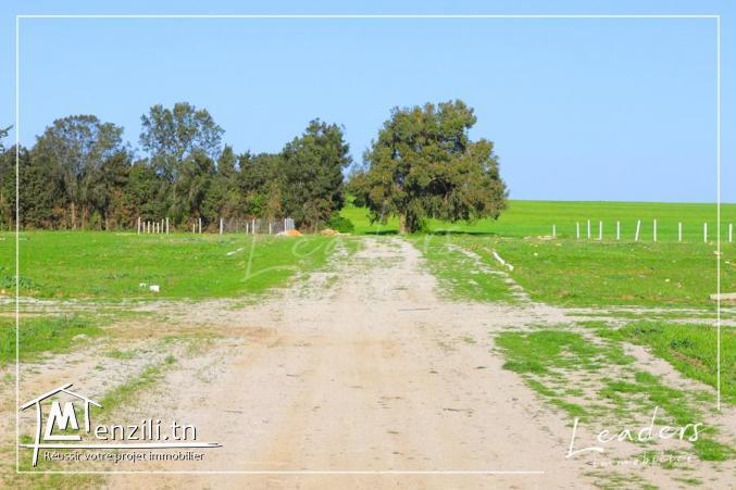 des terrain a vendre 27246321