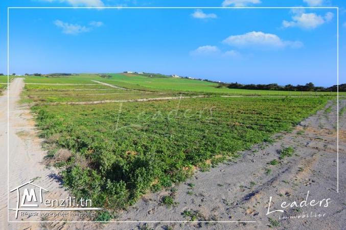 des terrain a vendre  de  484 m²