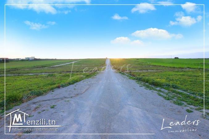 des terrain a vendre  de  484 m²