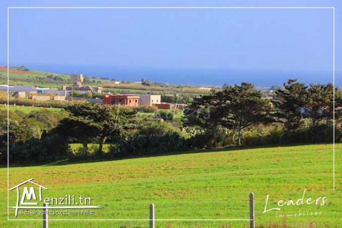 terrain a vendre 27246321