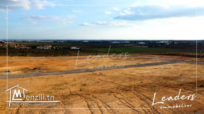 offre des derrain a vendre a bas prix a hammamet 27246321