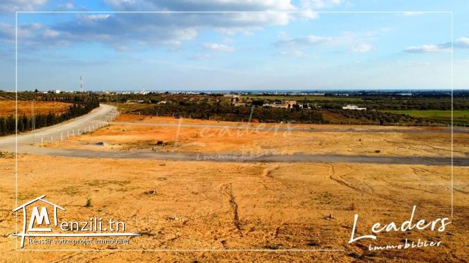 offre des derrain a vendre a bas prix a hammamet 27246321