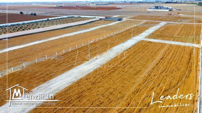 des terrain a vendre a hammamet sud de  225 m²