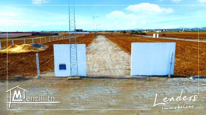 des terrain a vendre a hammamet sud de  225 m²