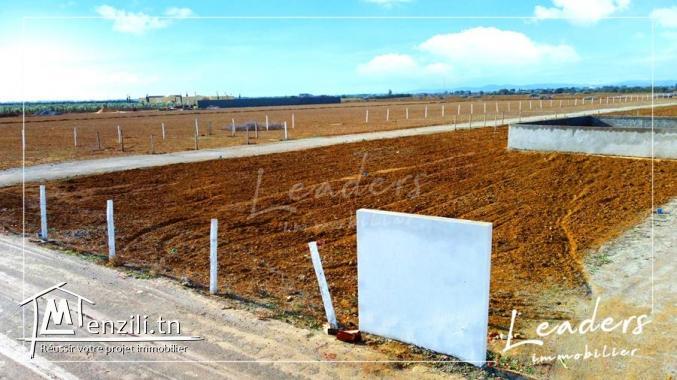 des terrain a vendre a hammamet sud 27246321