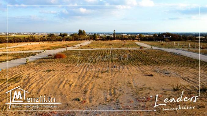 des terrain a vendre a hammamet sud de 252 m²