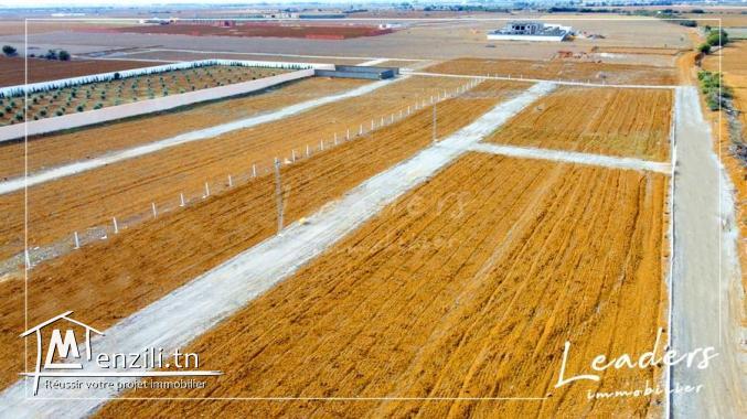 terrain a vendre a hammamet sud 27246321