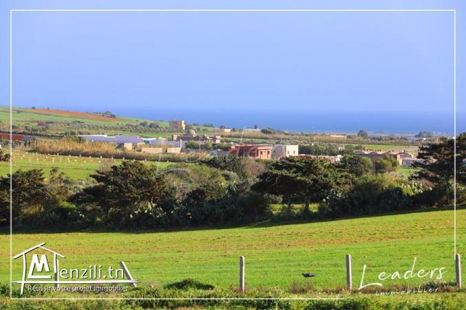 A vendre un terrain vue sur mer????