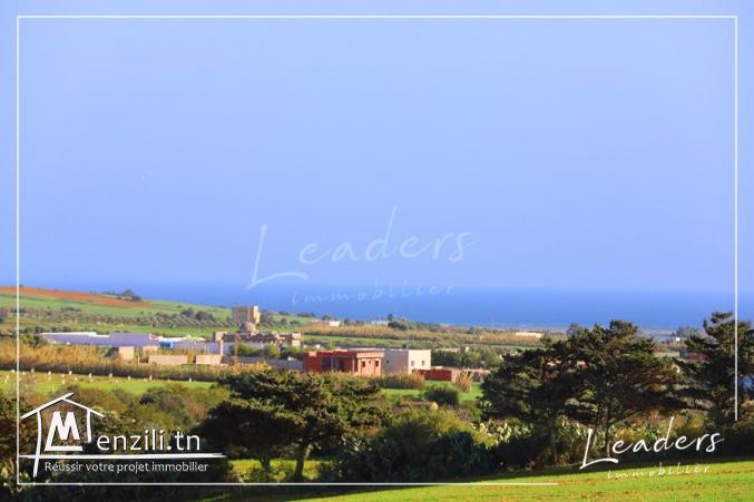 terrain a kelibia a vendre 27246321