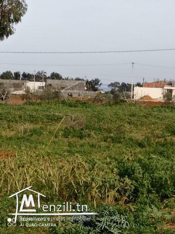 150m² a vendre situé a dar allouch seuelemnt a 23000 dt