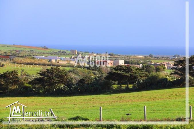 Terrain à kelibia à vendre ????