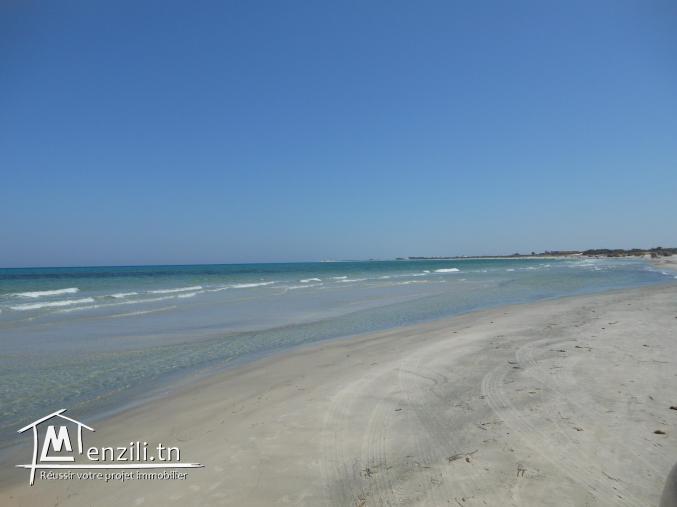 saisir votre opportunité