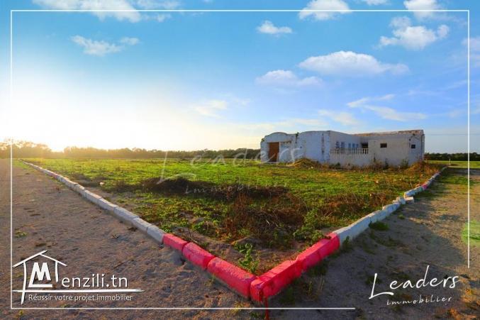 terrain a vendre a kelibia de 355 m²