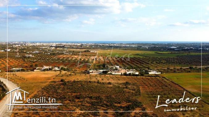 terrain a hammamet sud a vendre 27246321