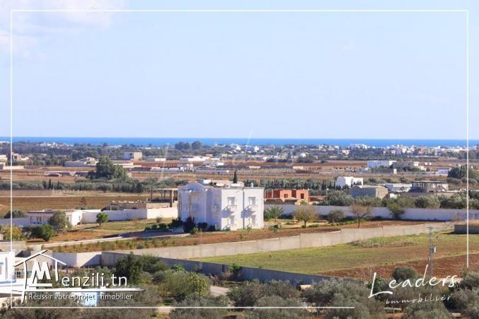 terrain a vendre a hammamet sud de  297 m²