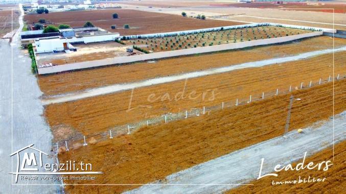 terrain a vendre a hammamet sud de 217 m² 