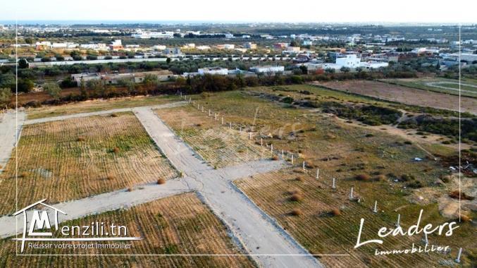 terrain a vendre a hammamet sud de 252 m²