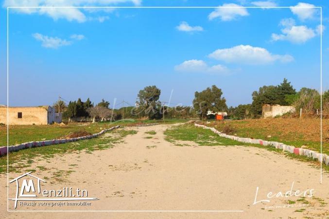 terrain a vendre a kelibia 27246333