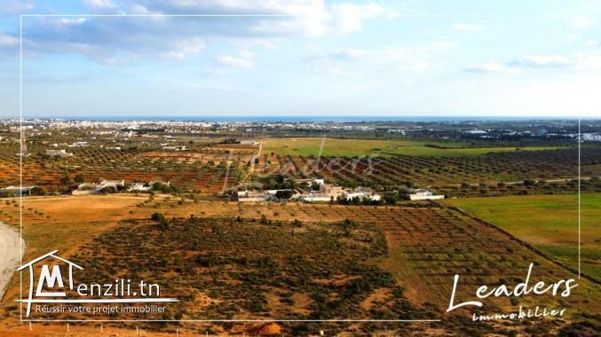 dernier lot a Hammamet sud a vendre 27246333