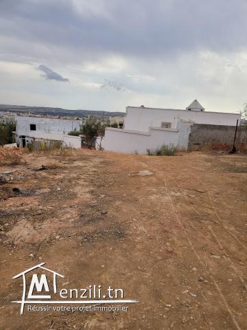 terrain a chebaoo oued ellile