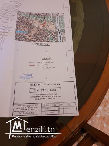 terrain a chebaoo oued ellile