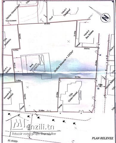 Offre En OR pour les promoteurs