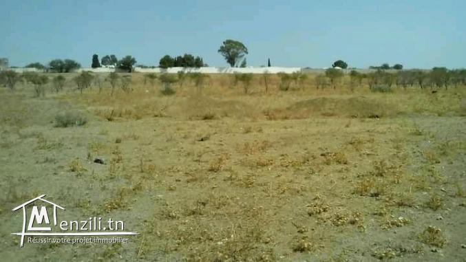 أرض للبيع في حي الهضاب أرض الزهراء