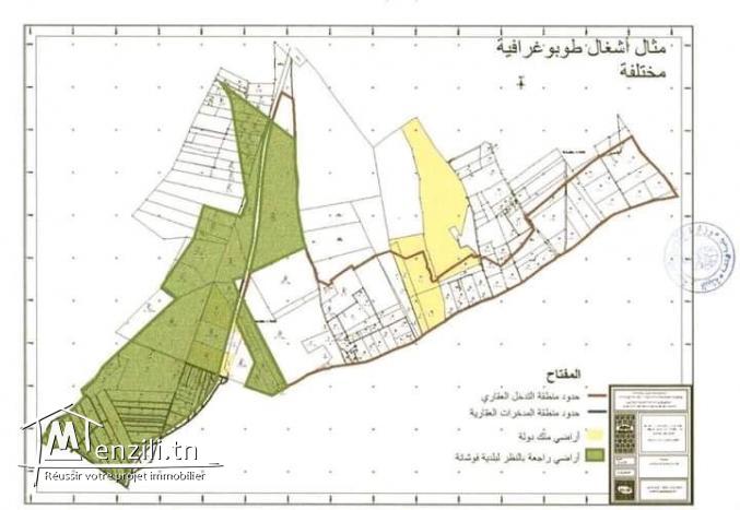 أرض للبيع في حي الهضاب أرض الزهراء